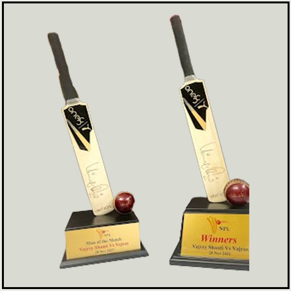 Customized Cricketers Promotional  Trophy